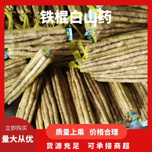 小白嘴山药  小白嘴，白山药铁棍，产地直发质优价廉