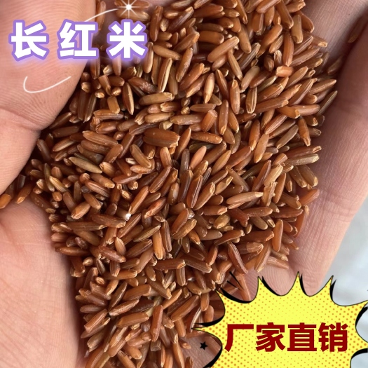 临沂红米 红糙米 食品原料 厂家直销 红曲米