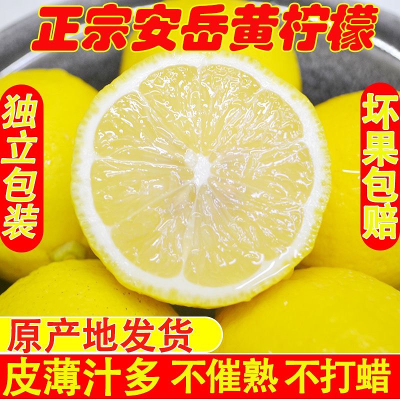 安岳县包邮安岳黄柠檬三级果产地价奶茶店批发支持一件代发皮薄汁多
