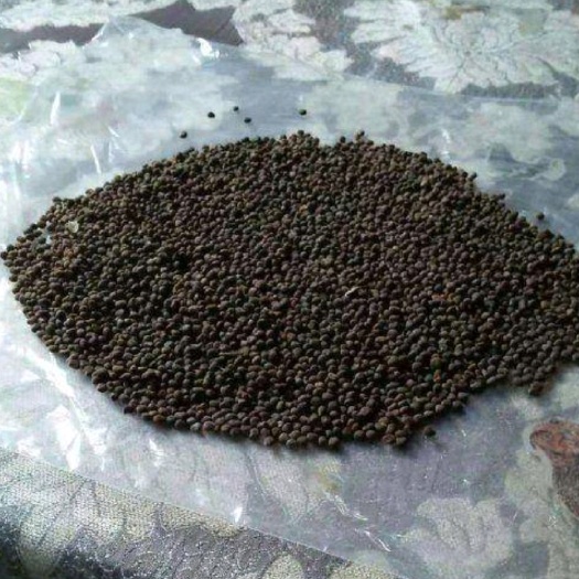 金塔县金花葵通货