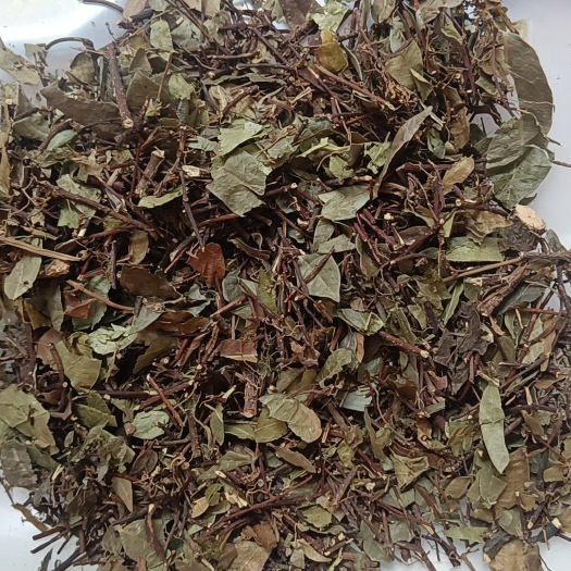 玉林络石藤别名风车茉莉石鲮明石悬石云珠云丹中草药
