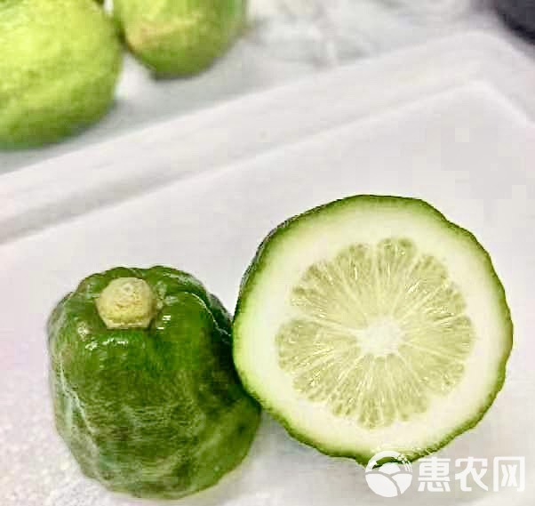 广东香水柠檬金桔饮料店配一件发包邮