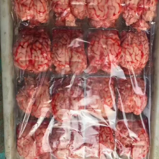 郑州羊脑，单体羊脑，颜色漂亮，价格低，实拍质量看得见，量大从优。