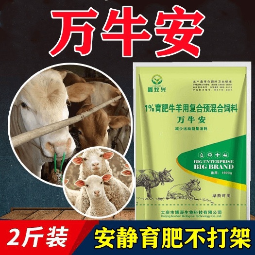 金万牛安牛羊安静预防打架打斗顶人追跑爬跨催肥增重多长肉