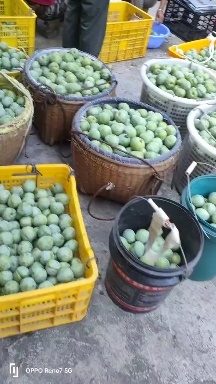 灌阳县新鲜应季水果
