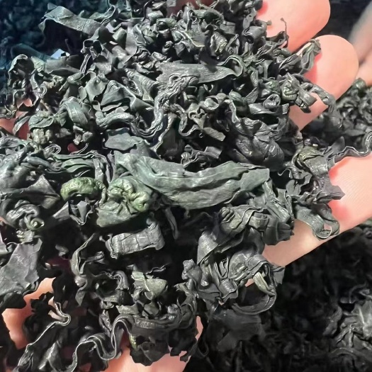 淡干裙带菜 大连特产 厂家直供 物美价廉 诚招全国各地老板合