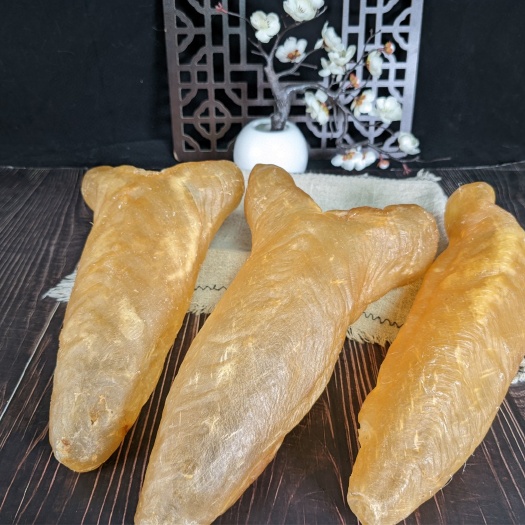 广州单只300克+的黄花胶，足干