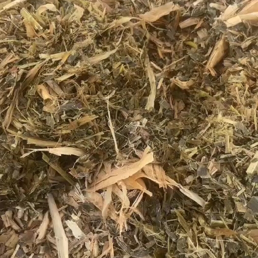 宿州玉米秸秆青储黄储，产地直发，量大从优，保质保量