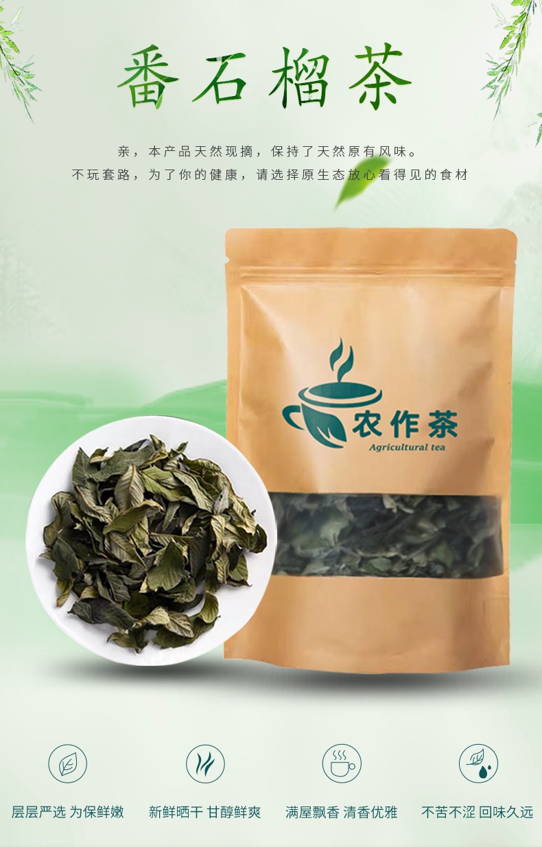 广州新鲜番石榴叶茶采摘无树枝嫩叶是初级农产品晒干
