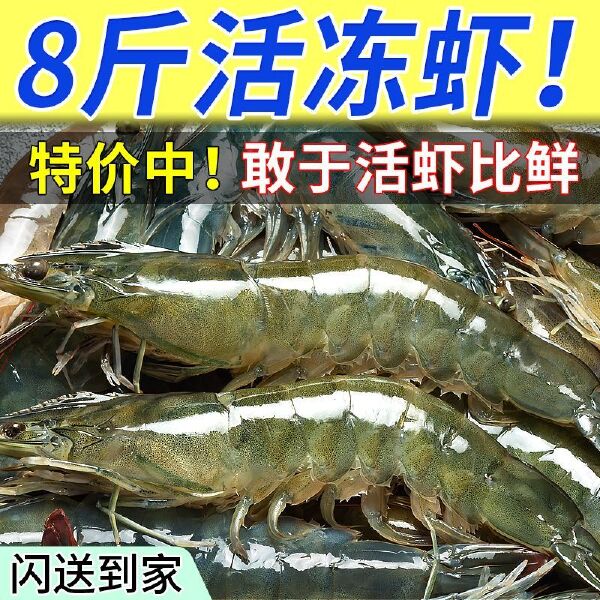 【顺丰24小时内发货】大虾鲜活冷冻海鲜大水产品 青岛海虾