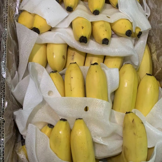 菲律宾香蕉30一箱26斤