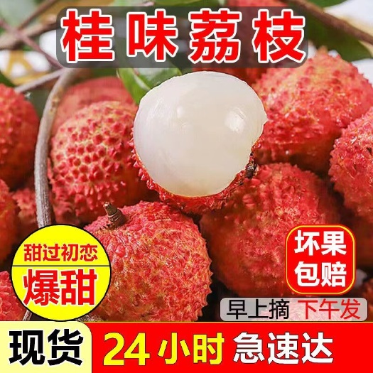 冷链空运自家果园爽甜多汁桂花香味高州桂味荔枝新鲜水果现摘现发