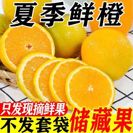 上犹县代橙子广西桂林高山夏橙新鲜夏橙应季水果甜橙子手剥橙子甜多汁