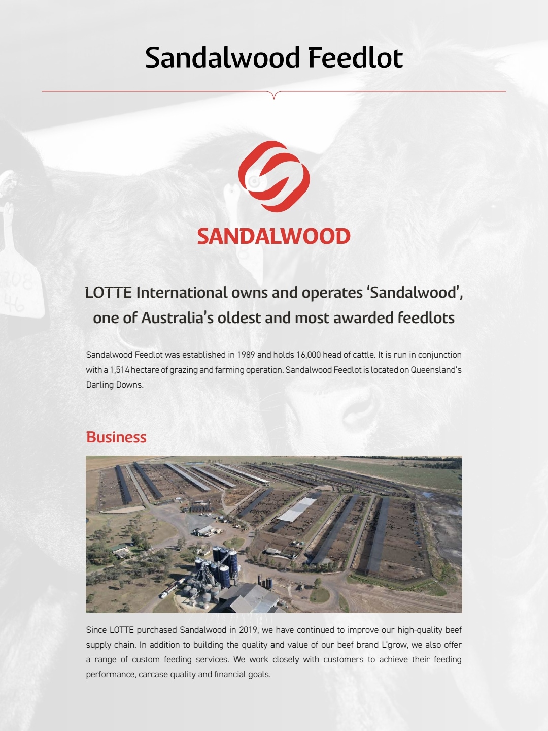 澳洲乐天和牛肩胛小排(三角肩肉)