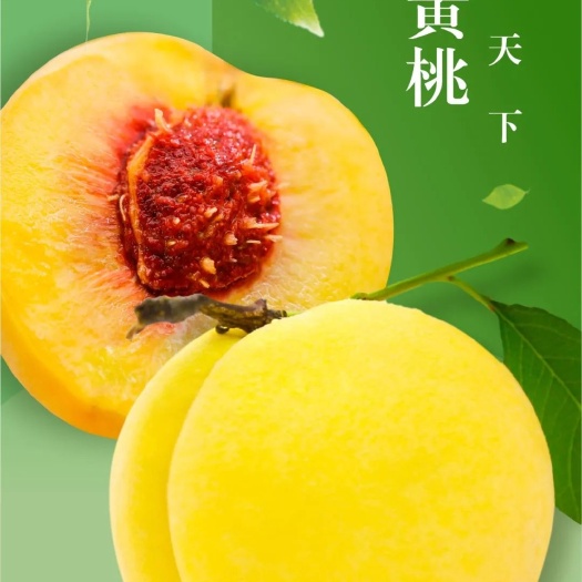 炎陵县炎陵黄桃