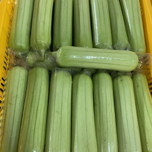 长沙县精品白玉丝瓜