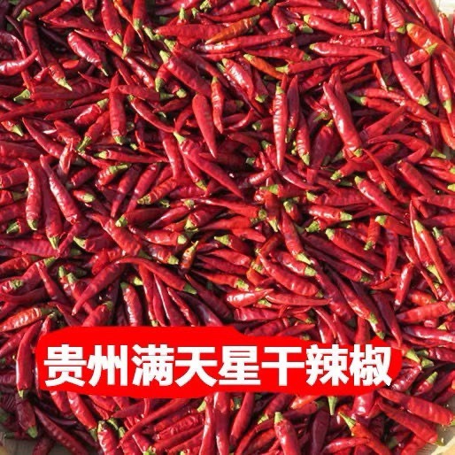 贵州满天星也叫做小米辣 辣椒火锅底料，剁椒酱等。个头匀称肉质