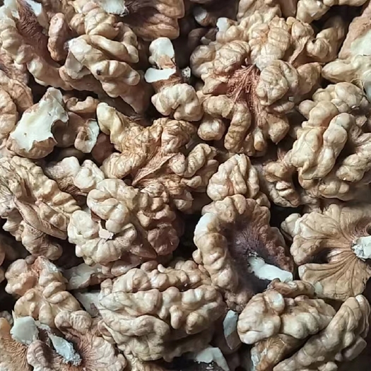乌鲁木齐人工剥核桃仁