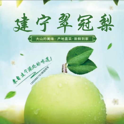 建宁翠冠梨