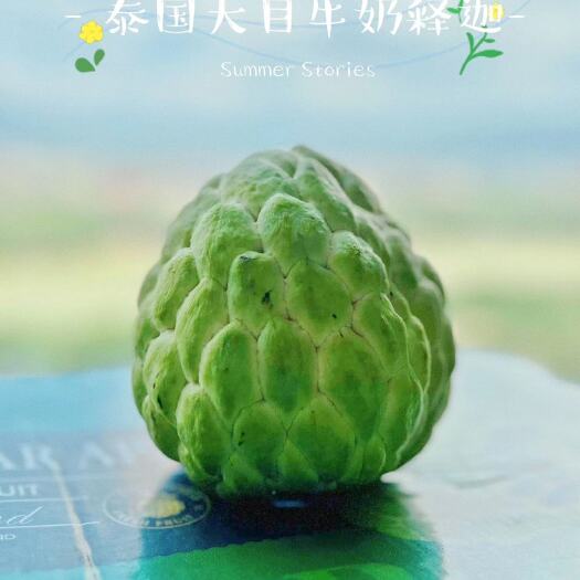 广州泰国大目释迦果牛奶凤梨释迦佛头果白心番荔枝产地直釆一件代发
