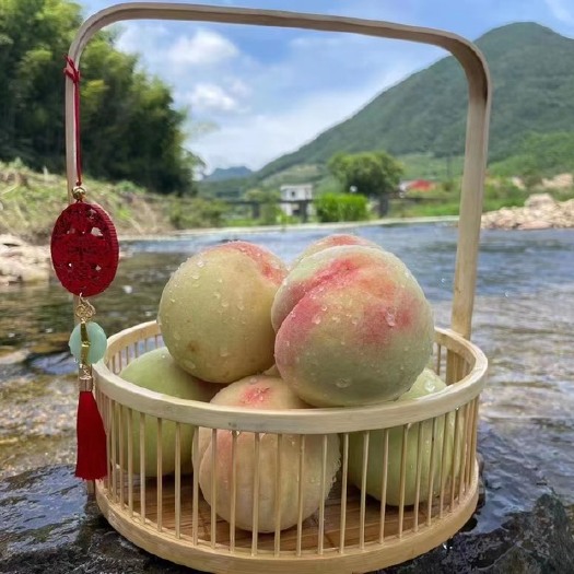 宁波奉化水蜜桃 汁甜个大饱满 保障四两以上
