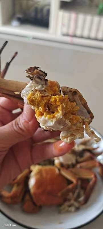枣庄微山湖河蟹