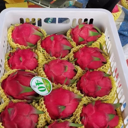 遂溪县大量供应