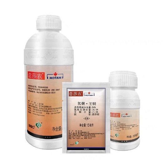 江苏龙灯 意莎农 34%氢铜王铜 黄瓜柑橘树角斑病溃疡病农药