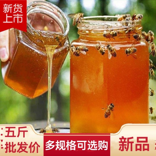 农家自产自销真蜂蜜深山土蜂蜜百花蜜枣花蜜洋槐蜜