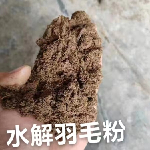 石家庄水解羽毛粉