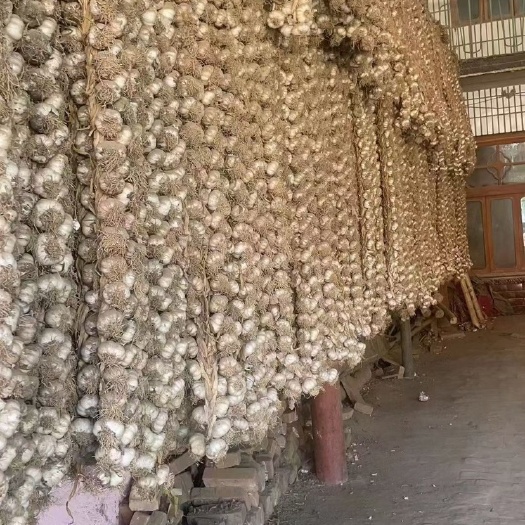 青州市大蒜辫子