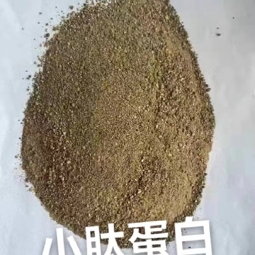 石家庄小肽蛋白