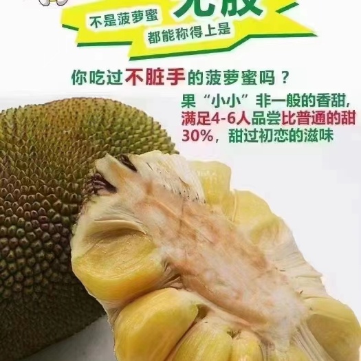 化州市常有无胶菠萝蜜