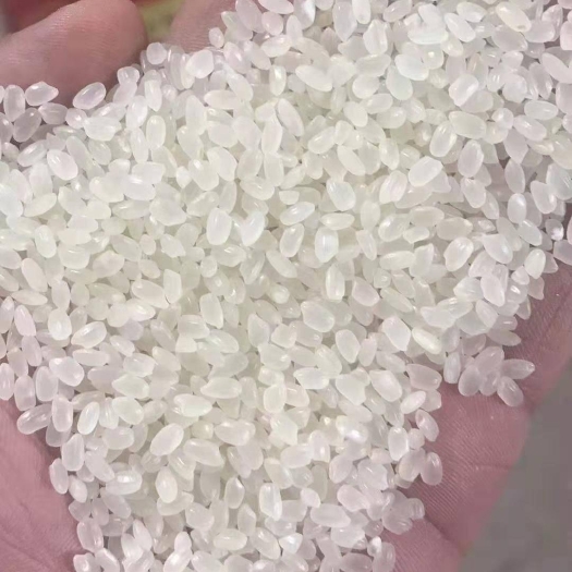 镇宁县东北珍珠米