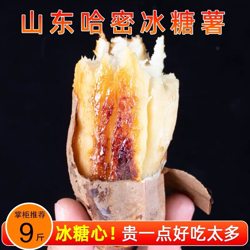 山东哈蜜冰糖薯新鲜白心蜜薯糖心红薯超甜农家自种沙地番地瓜代发