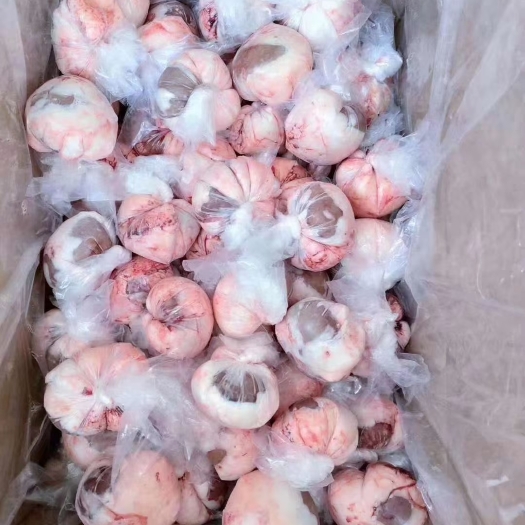 肃宁县纯羊腰