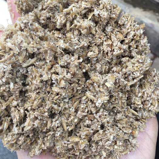 九江啤酒粗糟