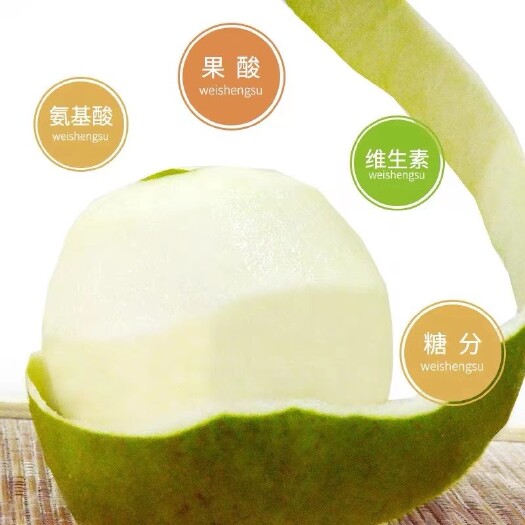 常州蜜梨，焦溪蜜梨，梨，原产地