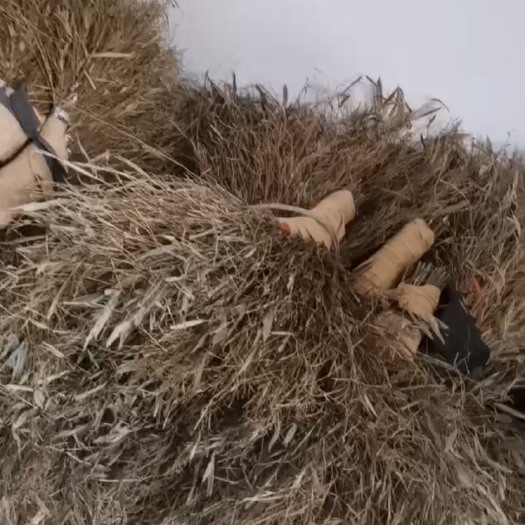 浦城县手工制作竹扫把环卫扫把大量供应