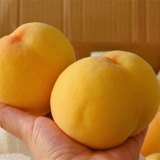 蒙阴县蒙阴黄金蜜桃
