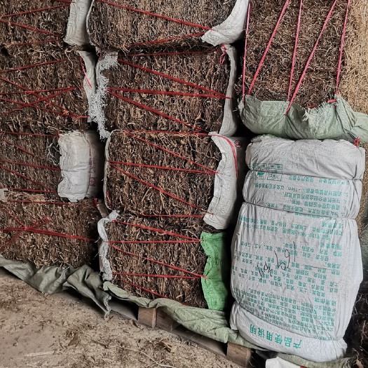 玉林【艾根】浓香艾根 艾草头小艾叶根 广西老艾草根客家水洗