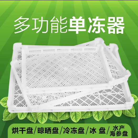 揭阳塑料单冻器冷冻盘晾晒筐烘干盘食品托盘