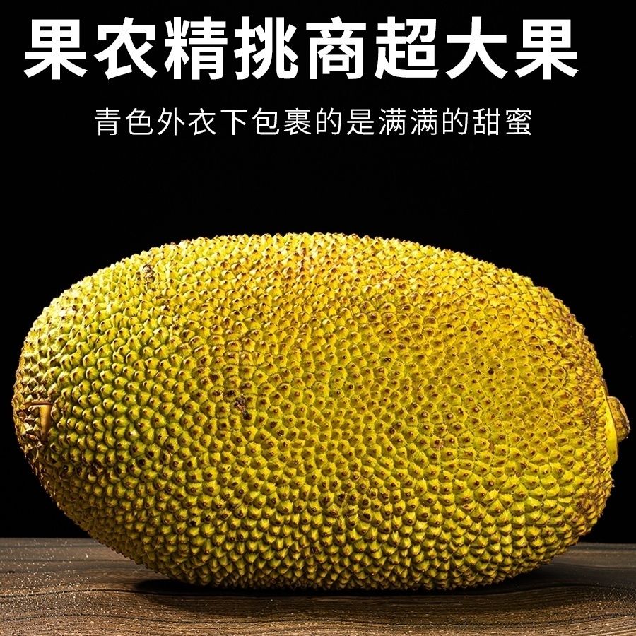 海南黄肉菠萝蜜每天现摘现发供应包邮包售后坏果包赔