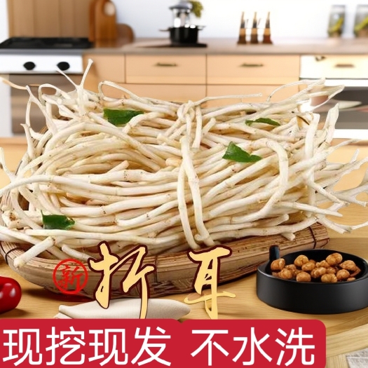 吉首市当季现挖发鱼腥草侧耳根节节根