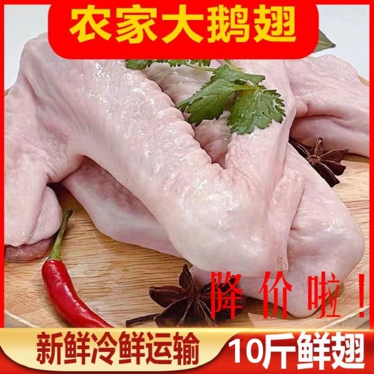 日照新鲜鹅翅农家散养鹅全翅卤味烧烤鹅翅批发饭店食材冷冻鹅肉鹅翅
