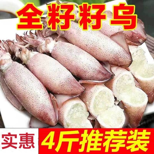 新鲜全籽籽乌带籽海兔子满籽乌鱼笔管鱼墨鱼鱿鱼八爪鱼斗鱼批发