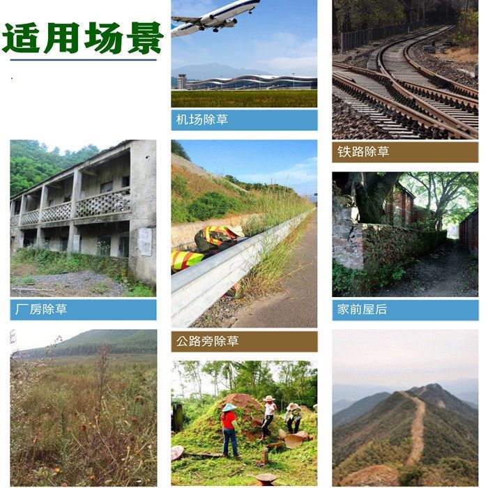 甲嘧磺隆除草神劑 雜草除草甲嘧磺蕯公路鐵路專