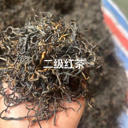 普安县【散茶批发】2023新茶叶二级工夫红茶花果蜜香浓郁 500g