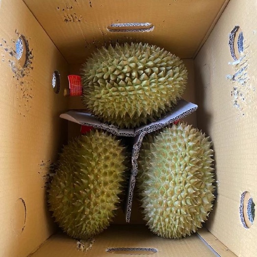 凭祥市泰国金枕，凭祥关口直达，全国可整柜，拼柜