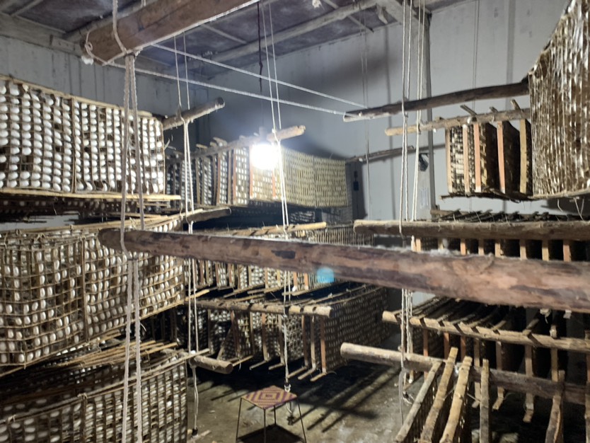 蚕茧初级农产品